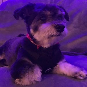 Meet your Posher, Celia